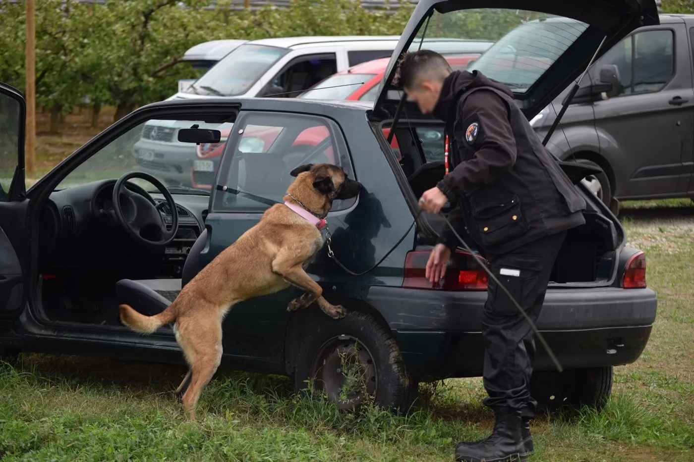 Chien de détection et son maître lors d'une fouille de véhicule